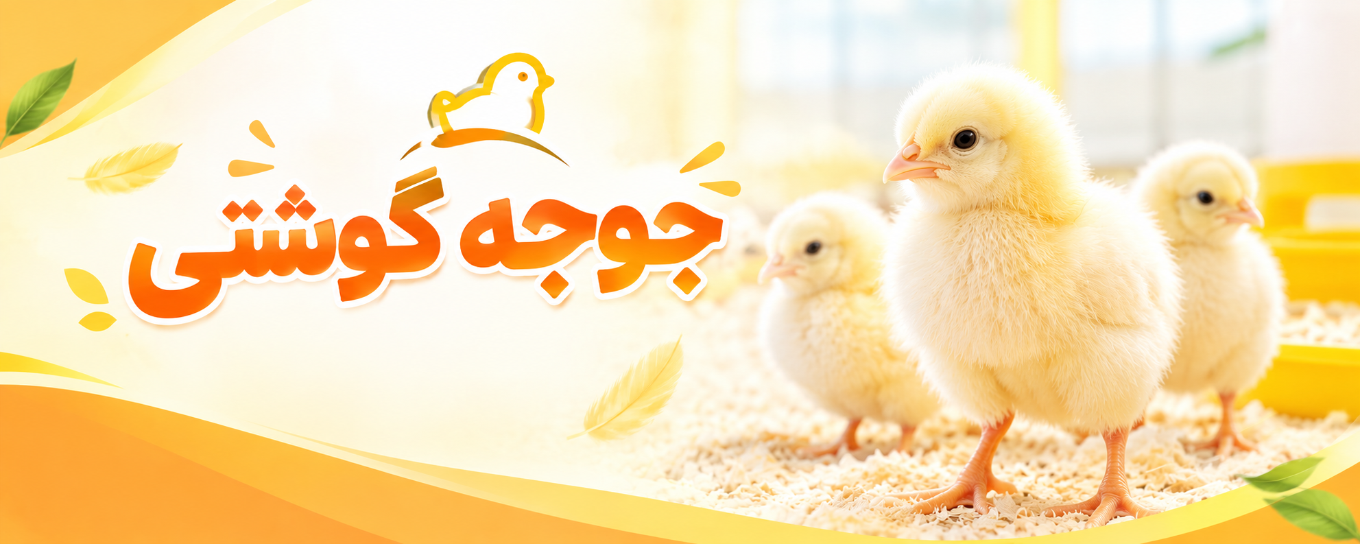 جوجه گوشتی
