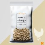 دان مرغ جوجه
